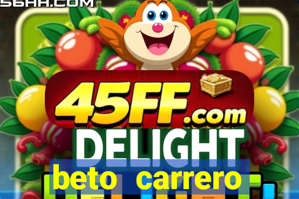beto carrero cidades proximas